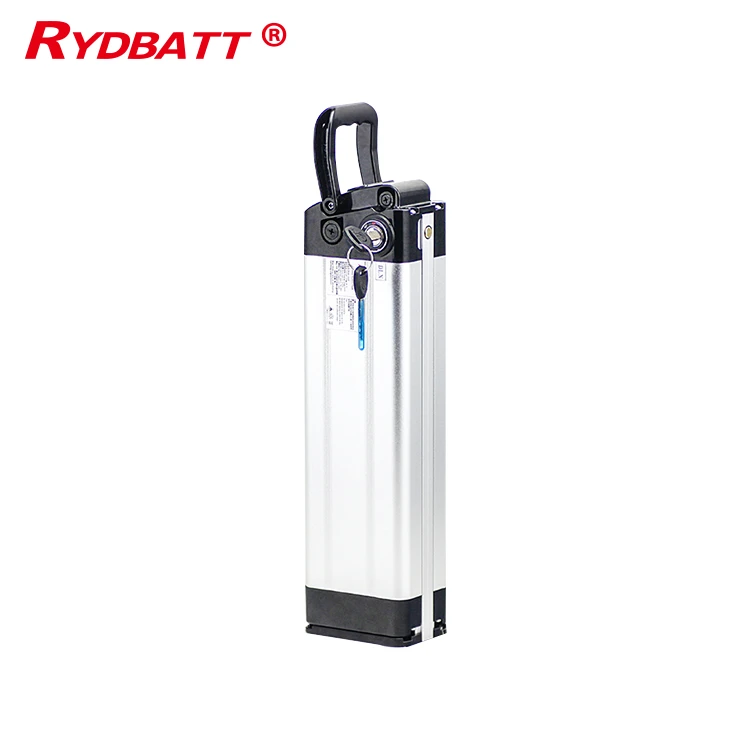 Ryder Electronics' 48V 20Ah Lithium Battery